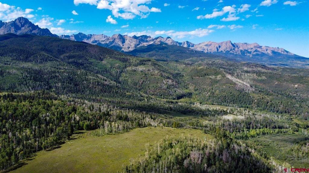 9757 County Road 5 Ridgway CO 81432