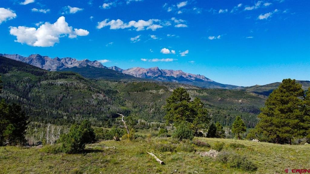 9757 County Road 5 Ridgway CO 81432