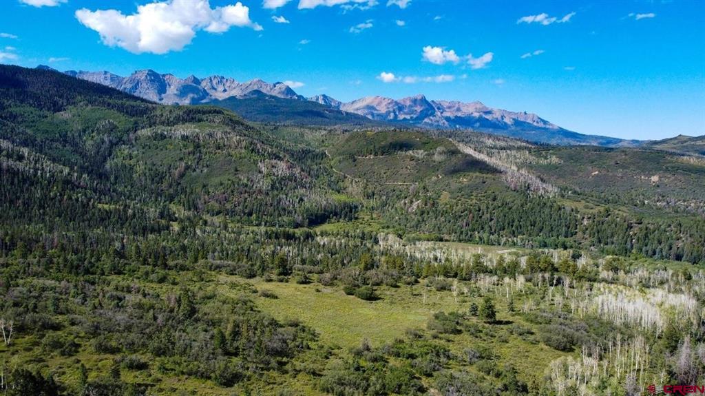 9757 County Road 5 Ridgway CO 81432
