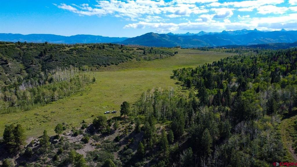 9757 County Road 5 Ridgway CO 81432