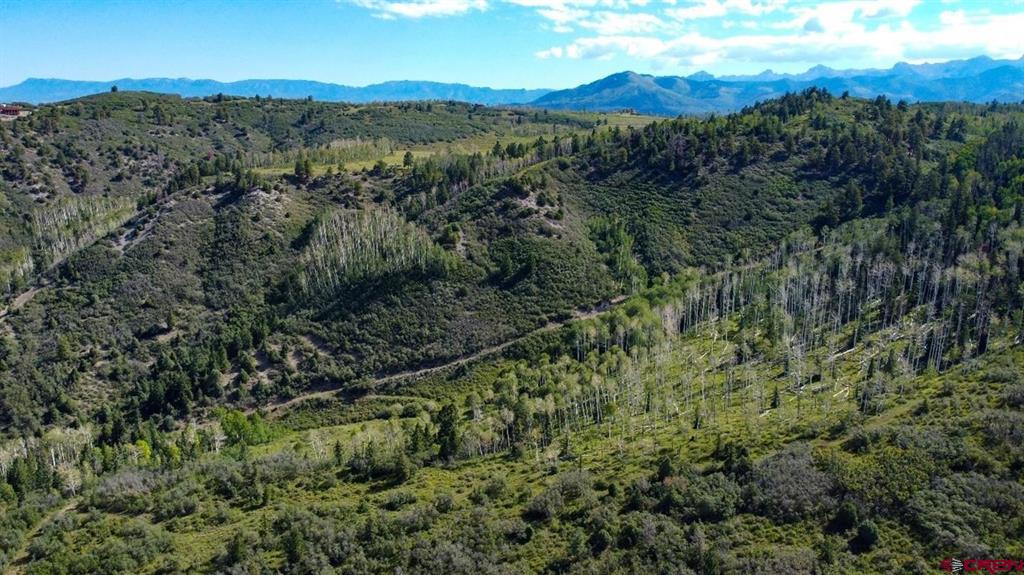 9757 County Road 5 Ridgway CO 81432