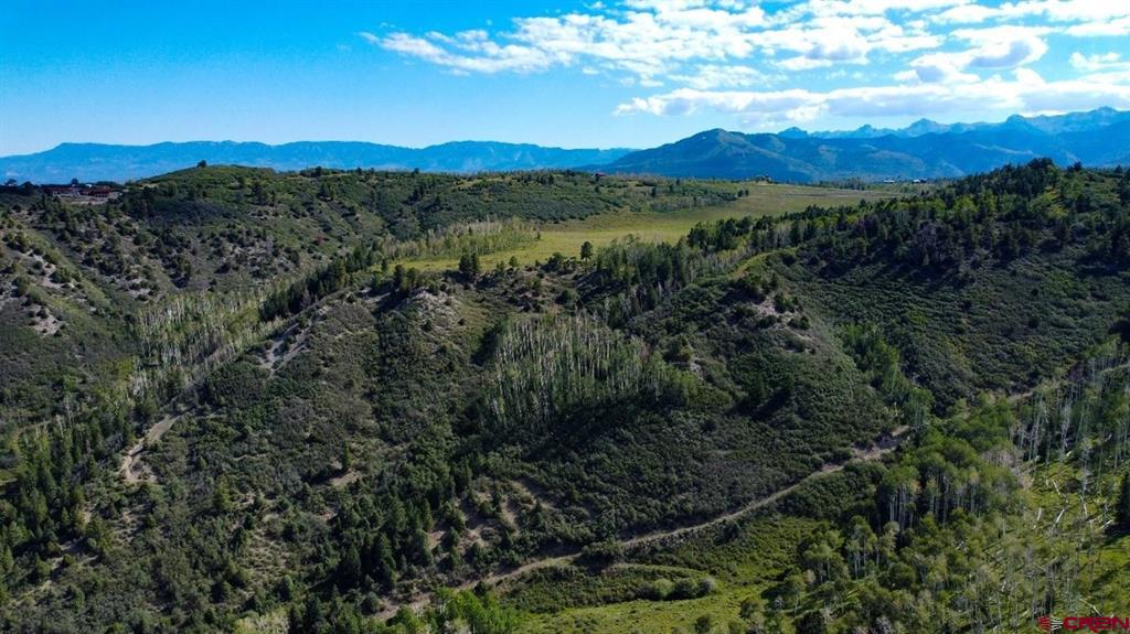 9757 County Road 5 Ridgway CO 81432