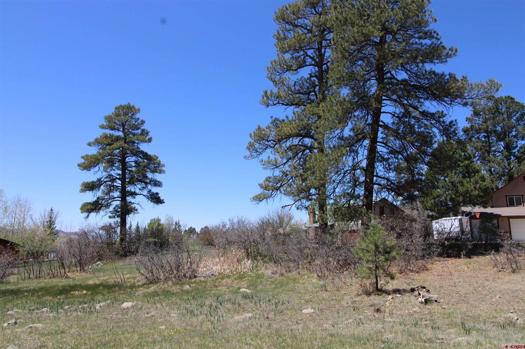 685 Caddy Circle Pagosa Springs CO 81147