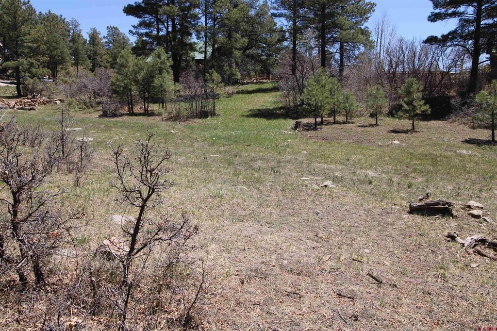 685 Caddy Circle Pagosa Springs CO 81147