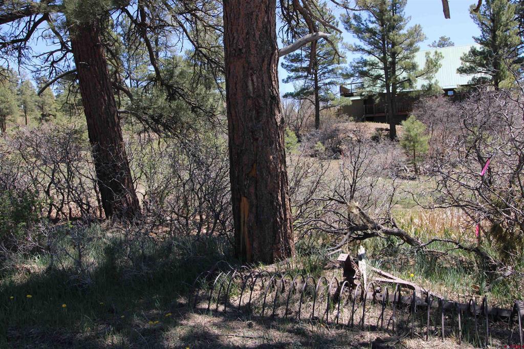 685 Caddy Circle Pagosa Springs CO 81147