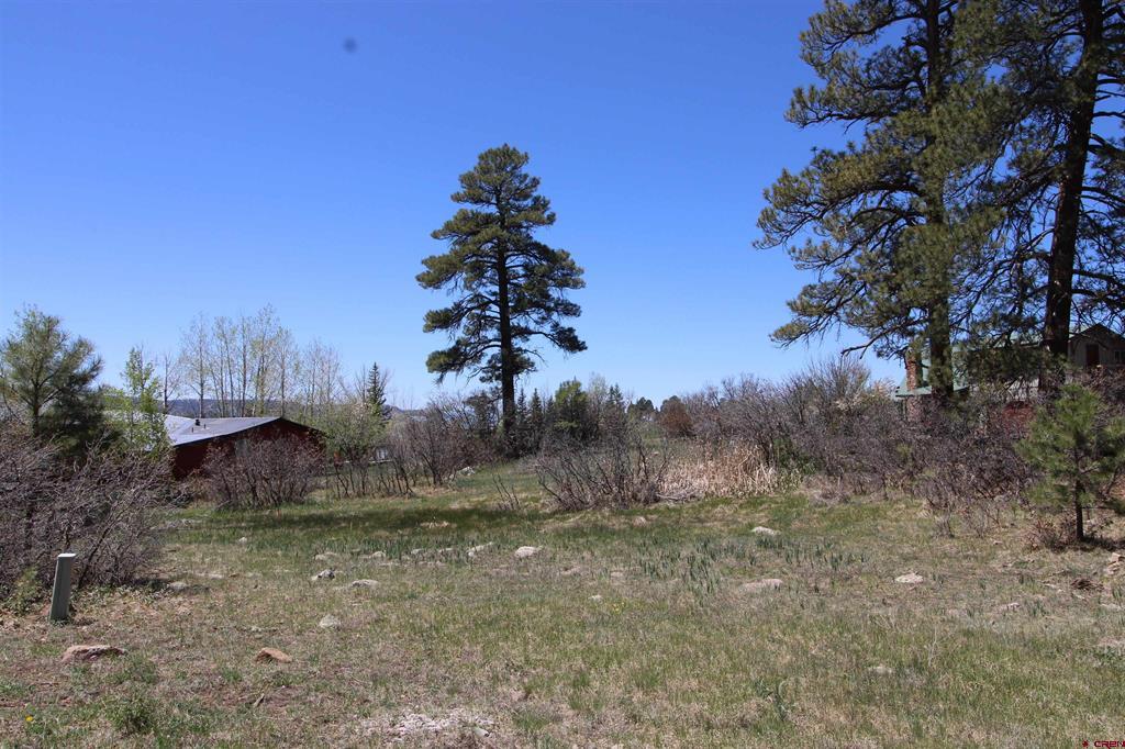 685 Caddy Circle Pagosa Springs CO 81147