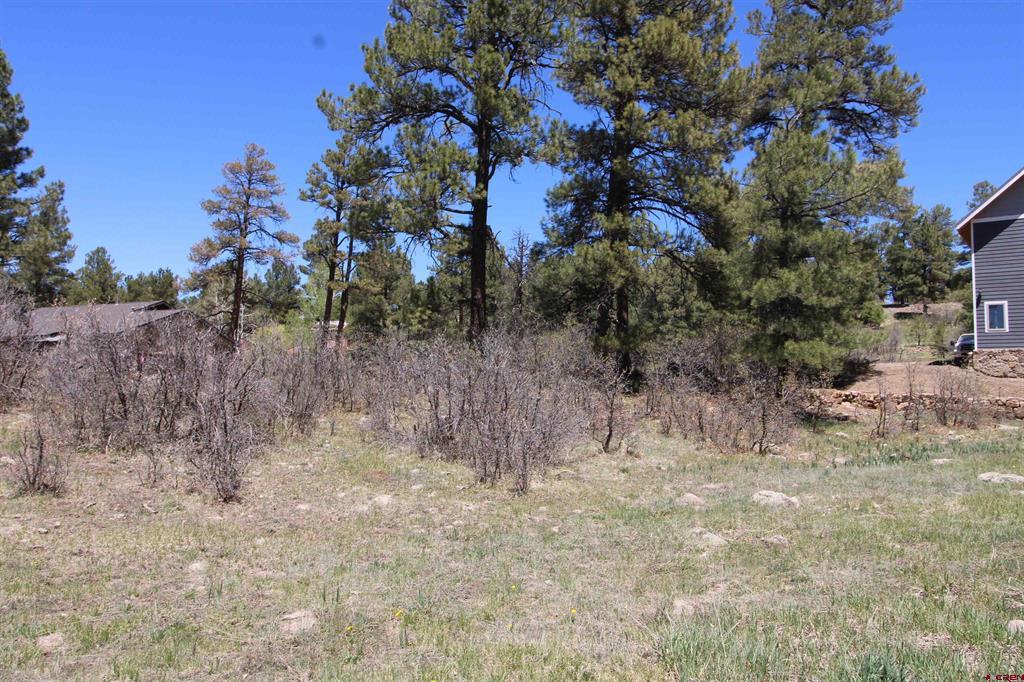 685 Caddy Circle Pagosa Springs CO 81147