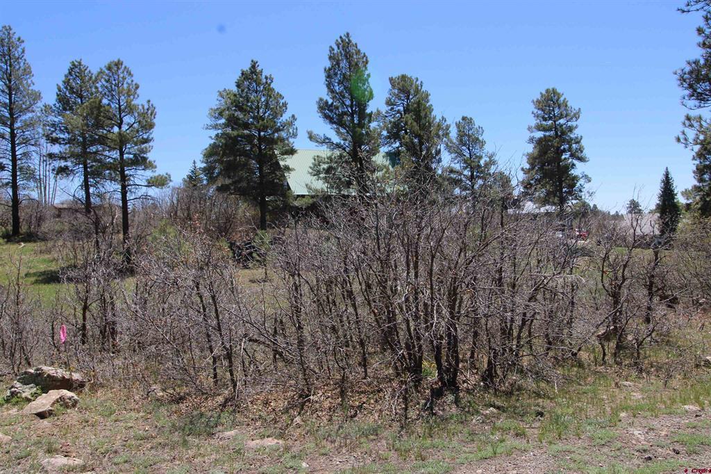 685 Caddy Circle Pagosa Springs CO 81147