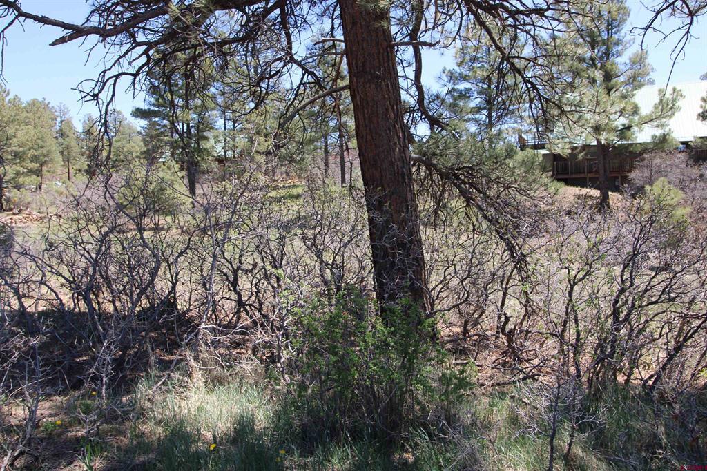 685 Caddy Circle Pagosa Springs CO 81147