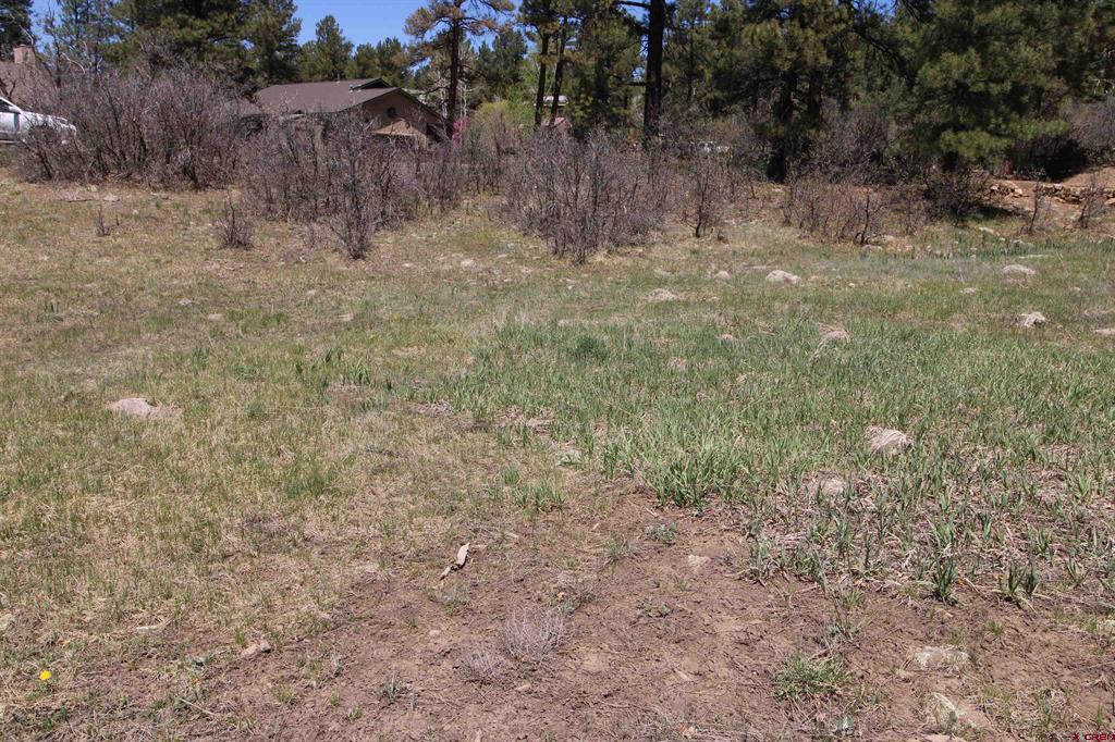 685 Caddy Circle Pagosa Springs CO 81147
