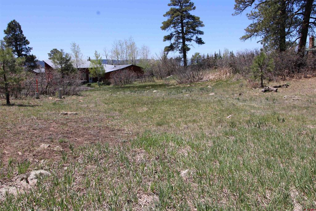 685 Caddy Circle Pagosa Springs CO 81147