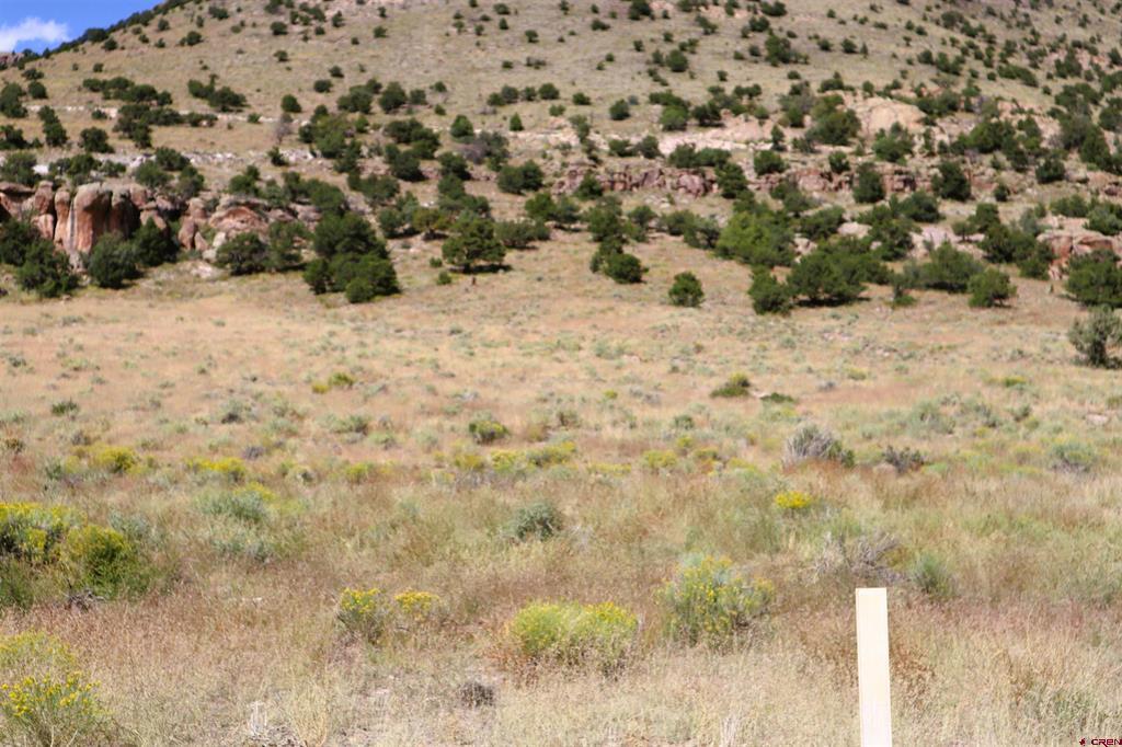 Tract 41 Wapiti Ridge Road Del Norte CO 81132