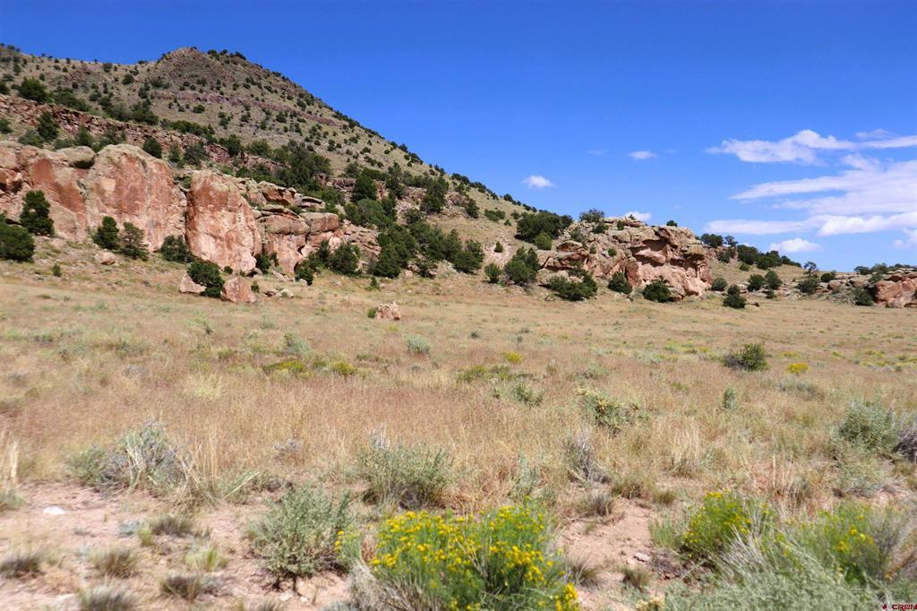 Tract 41 Wapiti Ridge Road Del Norte CO 81132