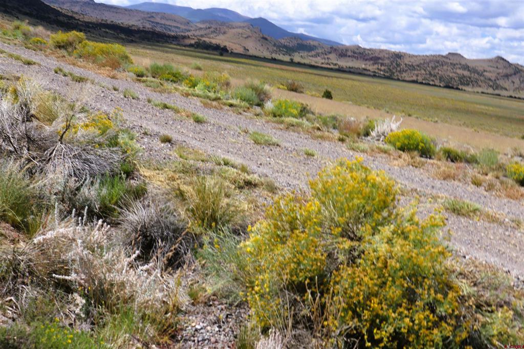 857 Pronghorn Trail Del Norte CO 81132