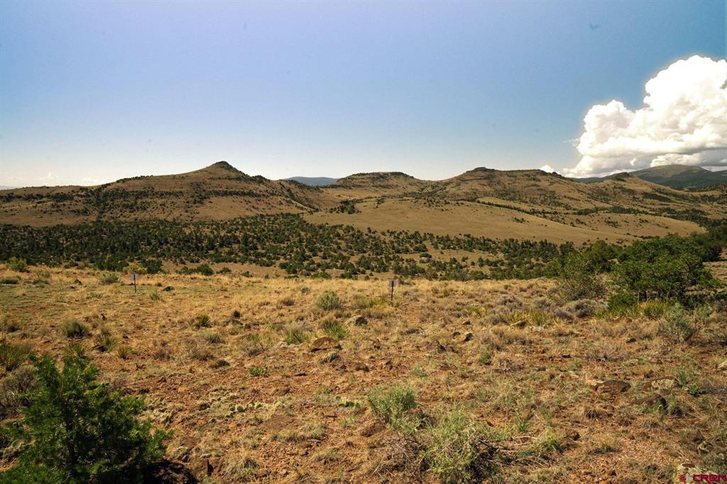 857 Pronghorn Trail Del Norte CO 81132