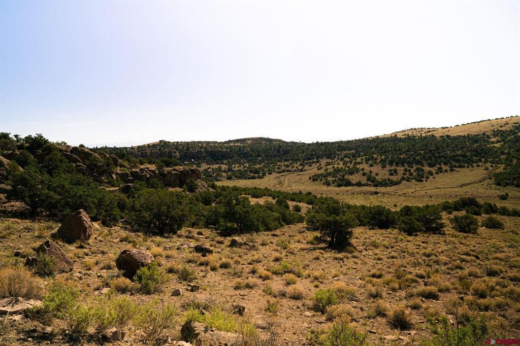 857 Pronghorn Trail Del Norte CO 81132