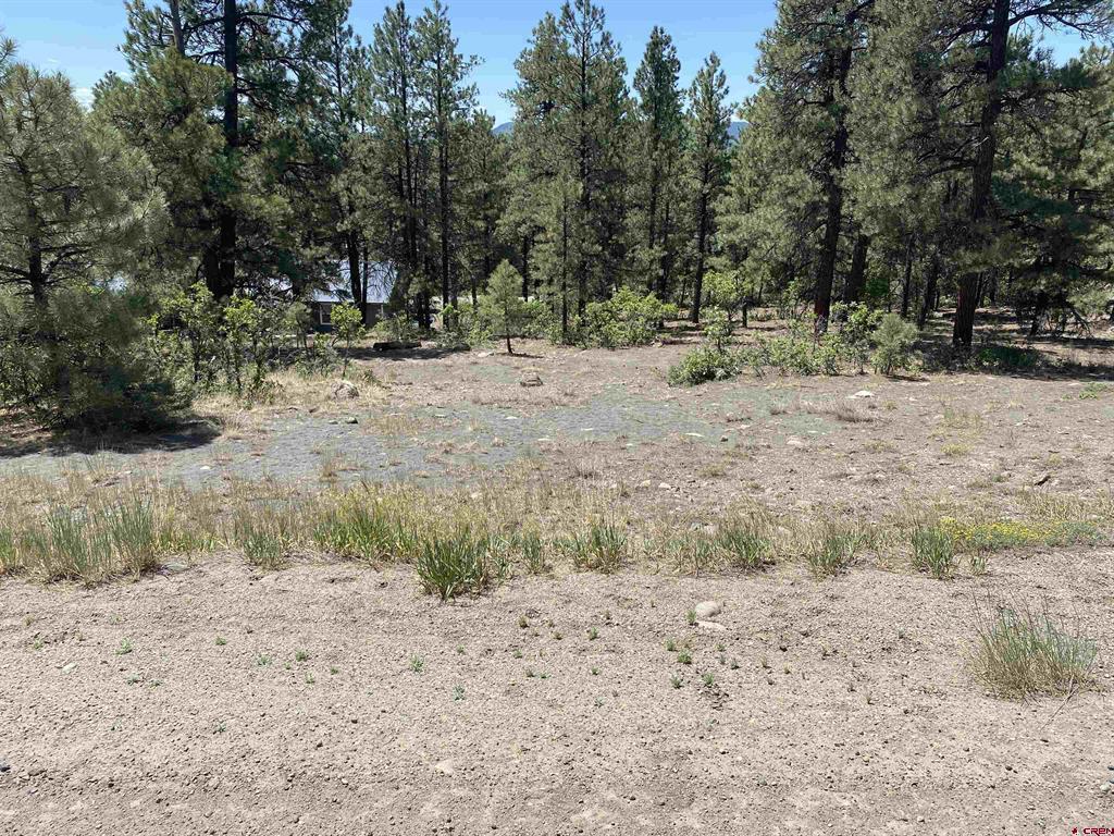 2266 Cr 600 Pagosa Springs CO 81147