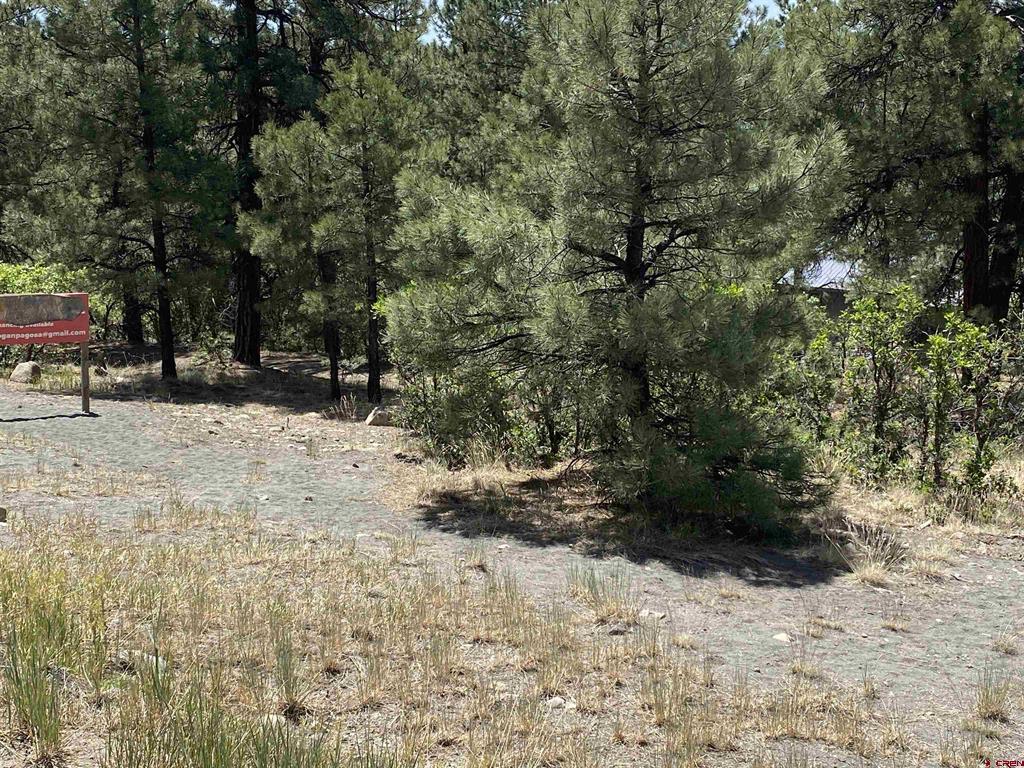 2266 Cr 600 Pagosa Springs CO 81147