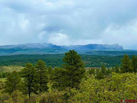 567 Blue Spruce Pagosa Springs CO 81147