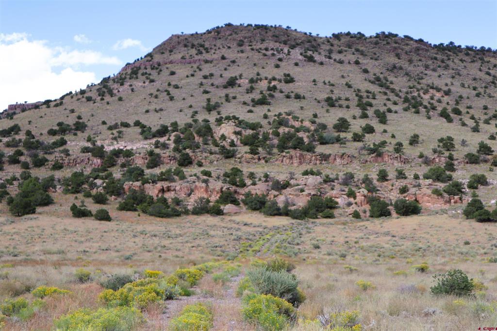 0 Tract 43 Wapiti Ridge Road Del Norte CO 81132