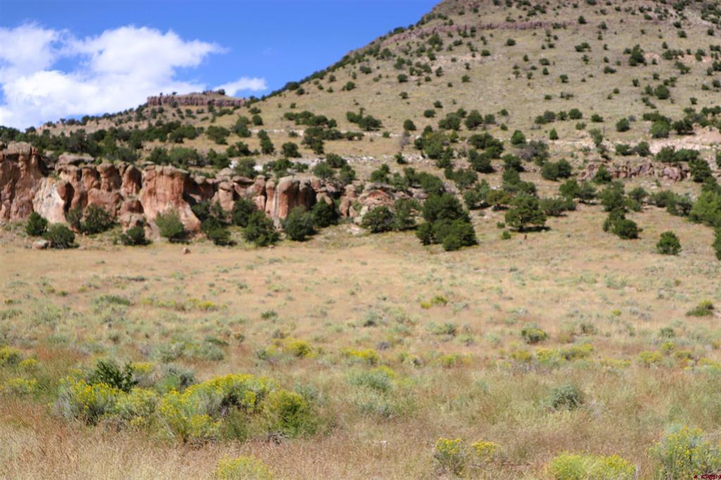 0 Tract 43 Wapiti Ridge Road Del Norte CO 81132