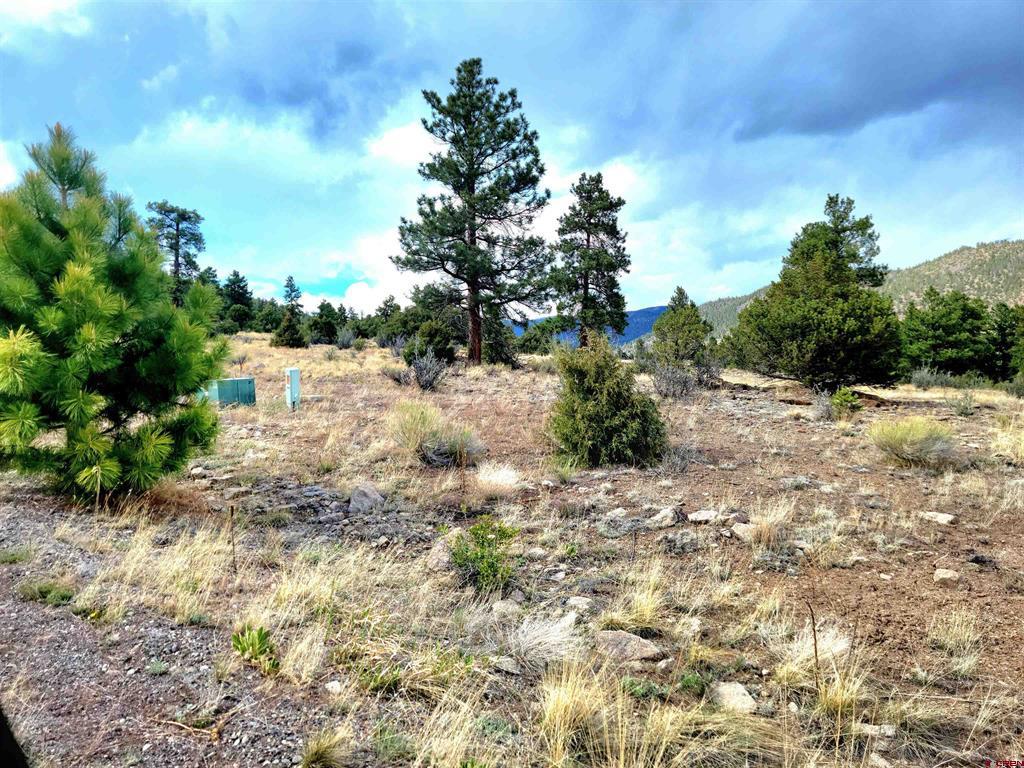 Tbd Little Bear Circle Lot 41 South Fork CO 81154