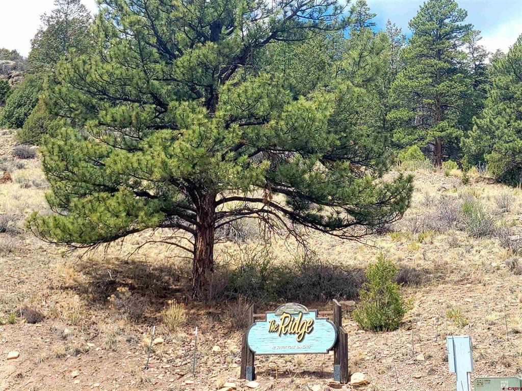 Tbd Little Bear Circle Lot 41 South Fork CO 81154