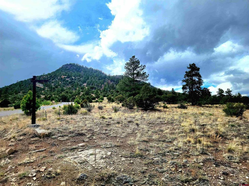 Tbd Little Bear Circle Lot 41 South Fork CO 81154