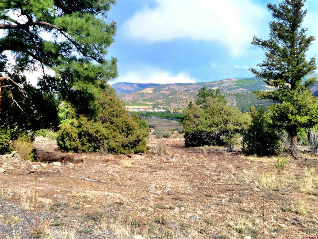 Tbd Little Bear Circle Lot 41 South Fork CO 81154