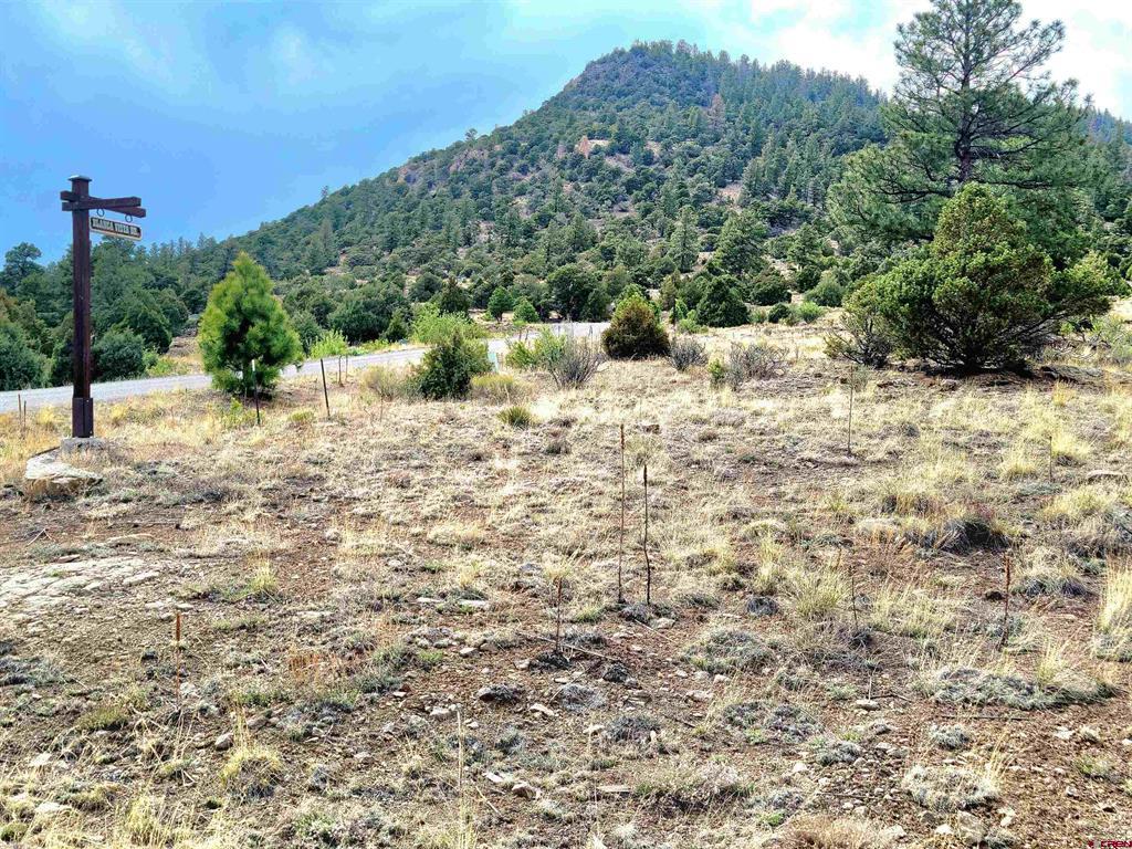 Tbd Little Bear Circle Lot 41 South Fork CO 81154