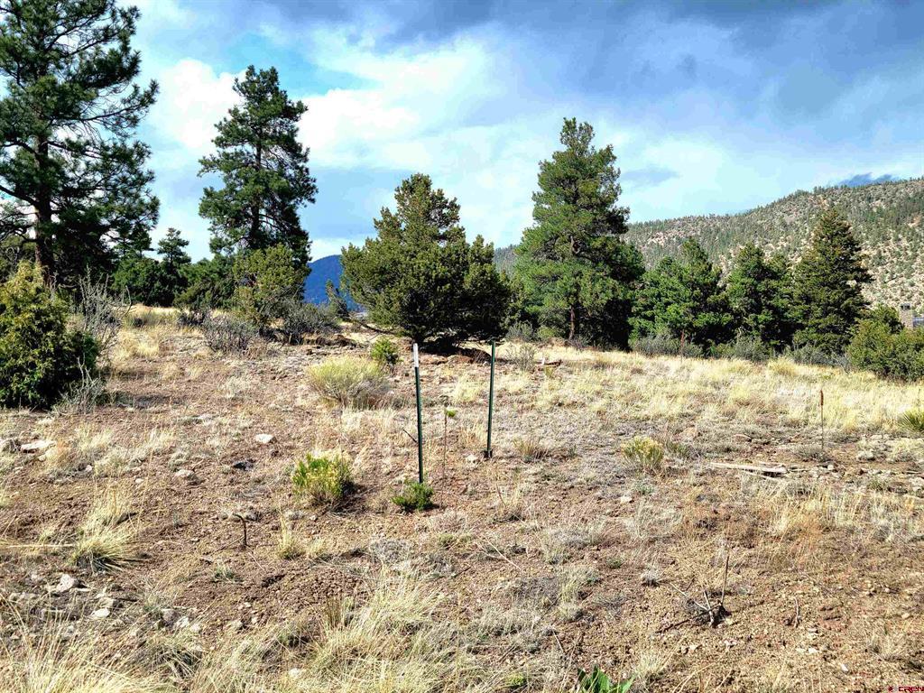Tbd Little Bear Circle Lot 41 South Fork CO 81154