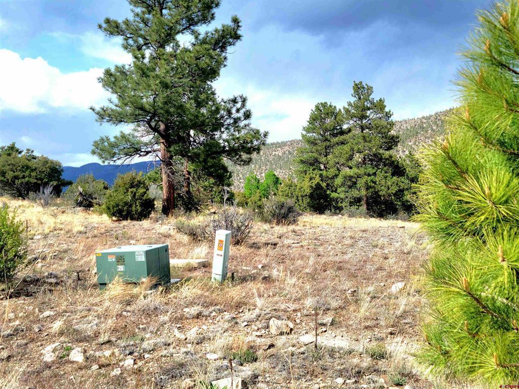 Tbd Little Bear Circle Lot 41 South Fork CO 81154
