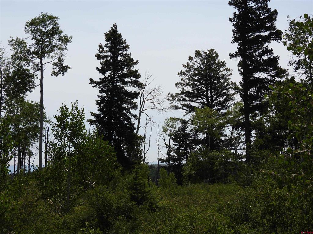 Tbd Transfer Road Montrose CO 81403