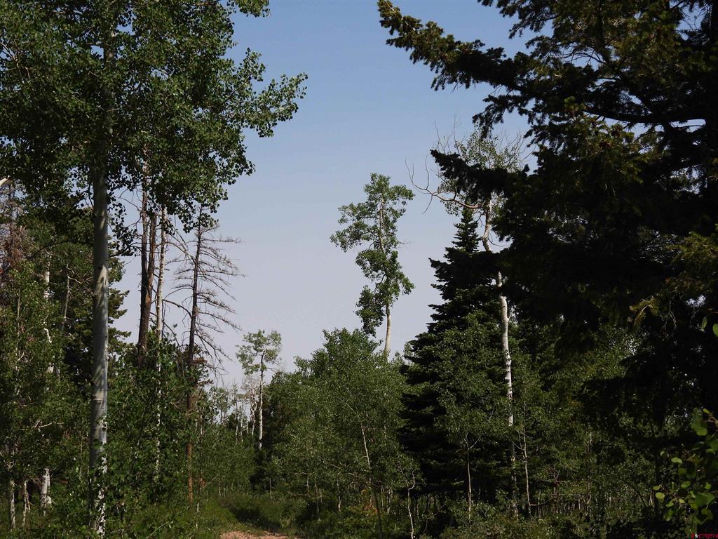 Tbd Transfer Road Montrose CO 81403