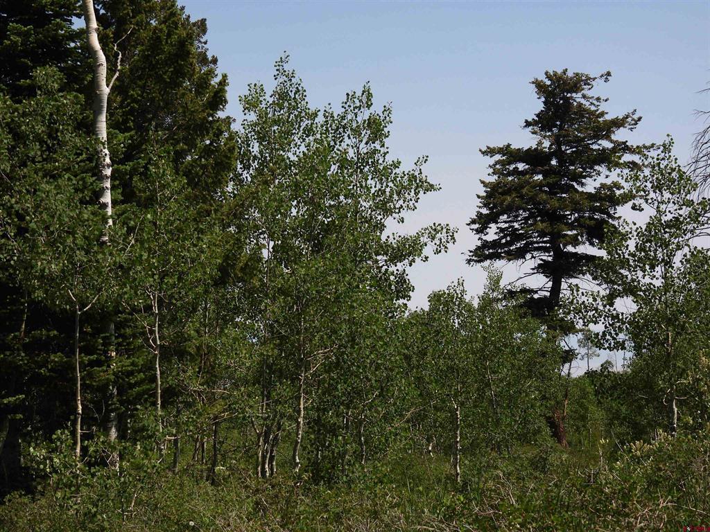 Tbd Transfer Road Montrose CO 81403