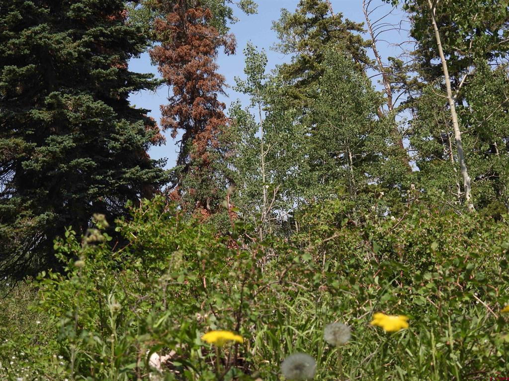 Tbd Transfer Road Montrose CO 81403