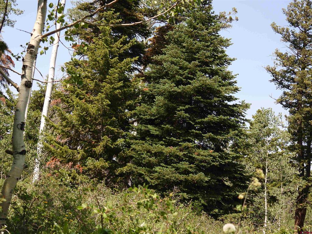 Tbd Transfer Road Montrose CO 81403