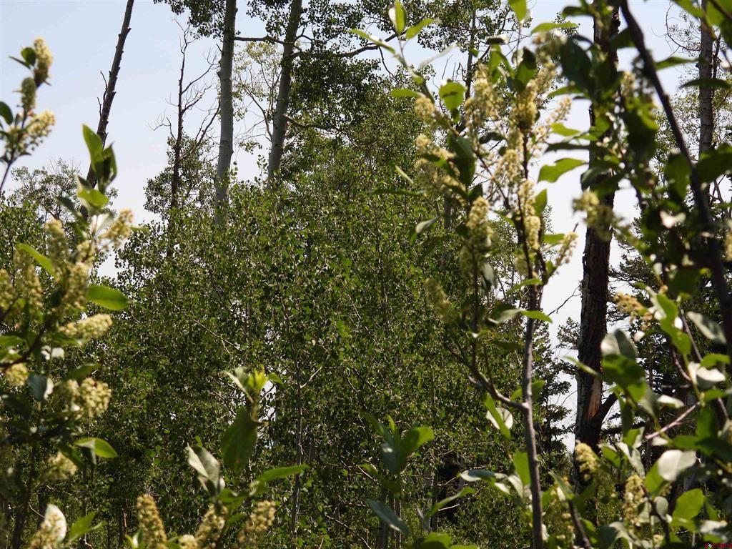 Tbd Transfer Road Montrose CO 81403