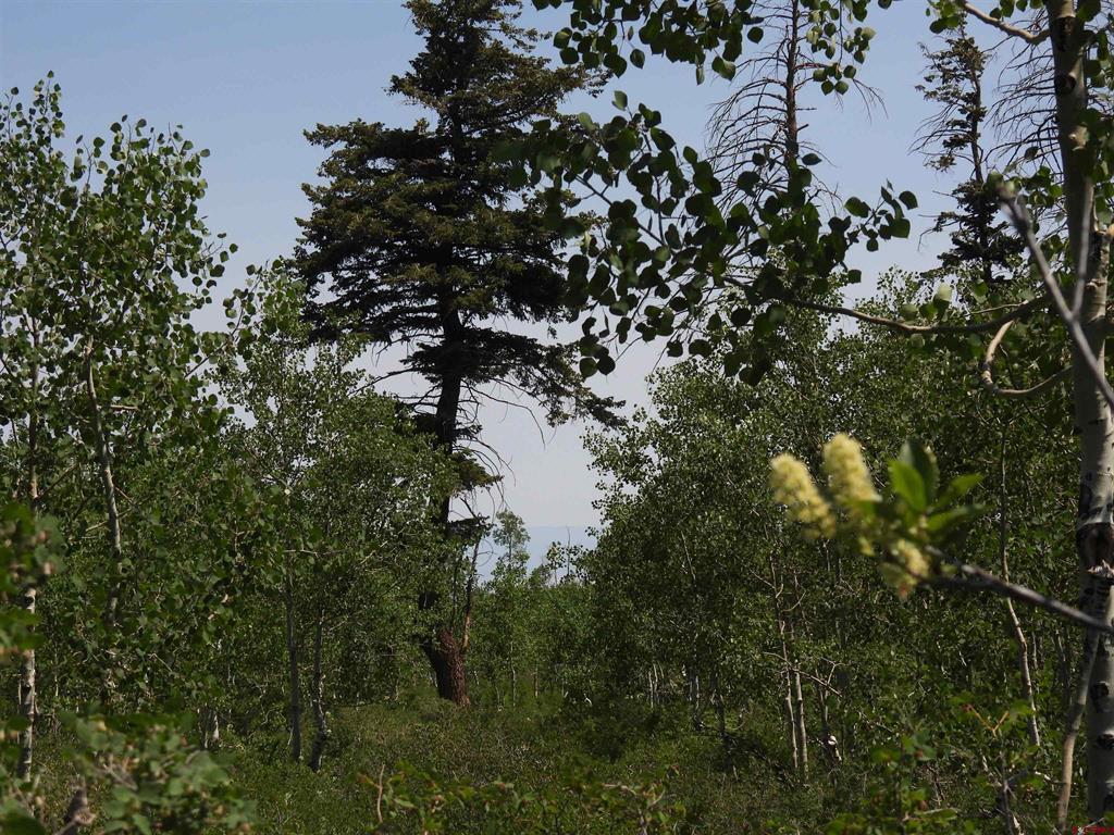 Tbd Transfer Road Montrose CO 81403