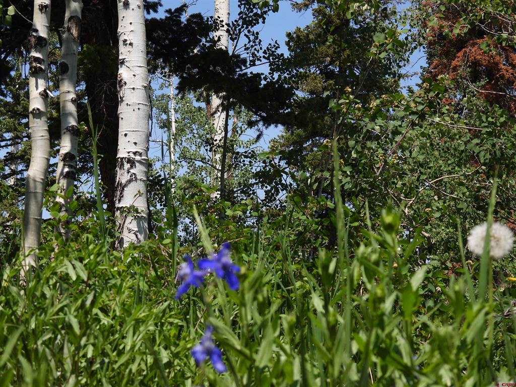 Tbd Transfer Road Montrose CO 81403