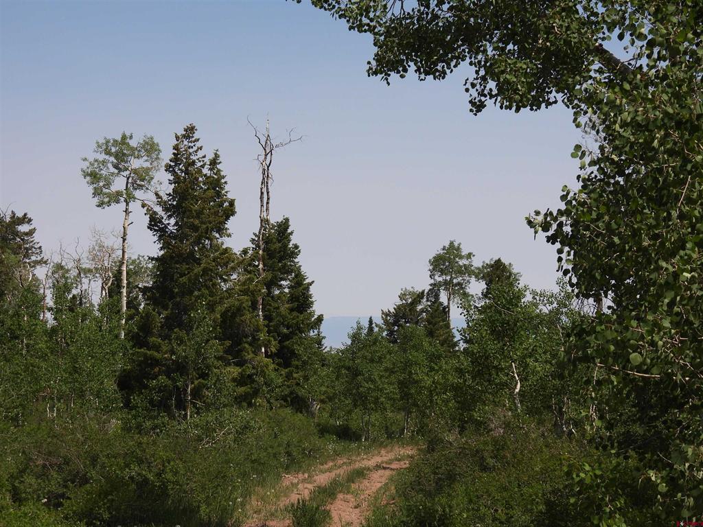 Tbd Transfer Road Montrose CO 81403