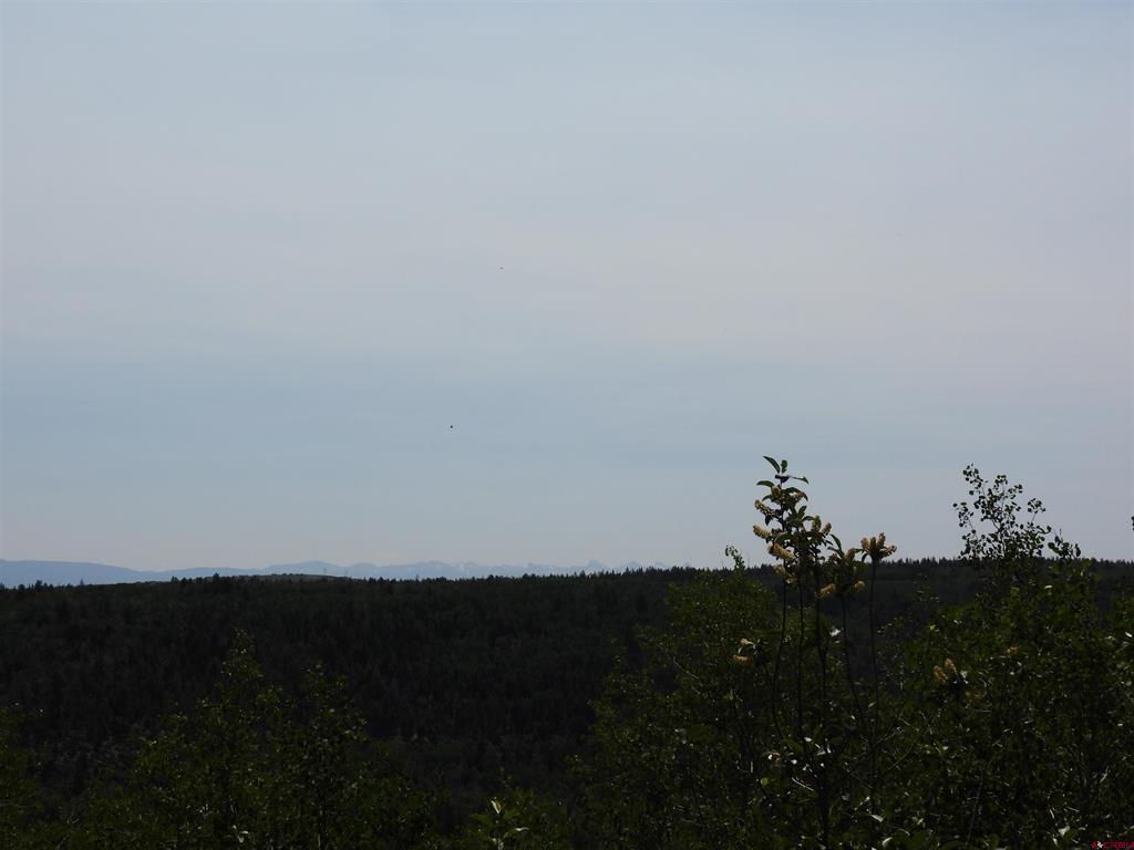 Tbd Transfer Road Montrose CO 81403