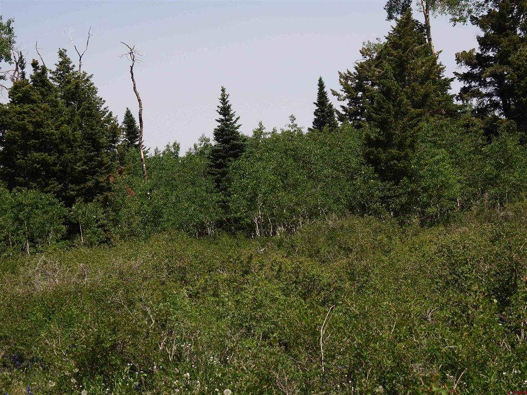 Tbd Transfer Road Montrose CO 81403