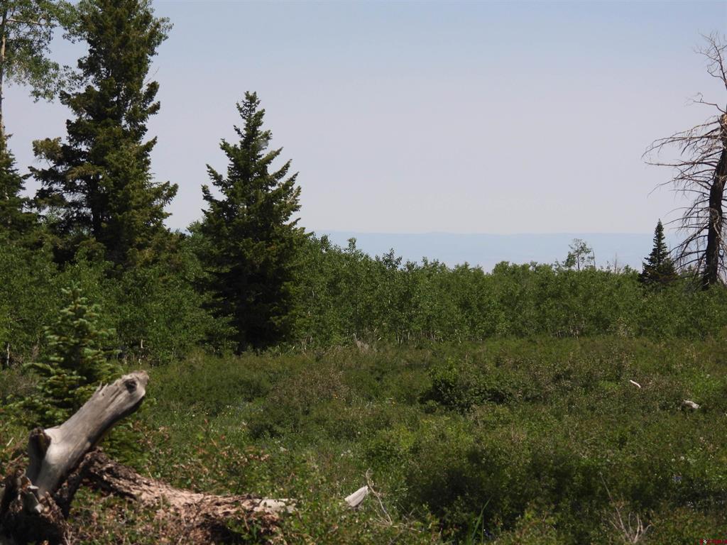 Tbd Transfer Road Montrose CO 81403