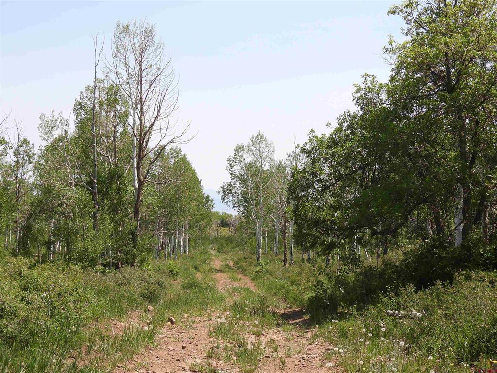 Tbd Transfer Road Montrose CO 81403