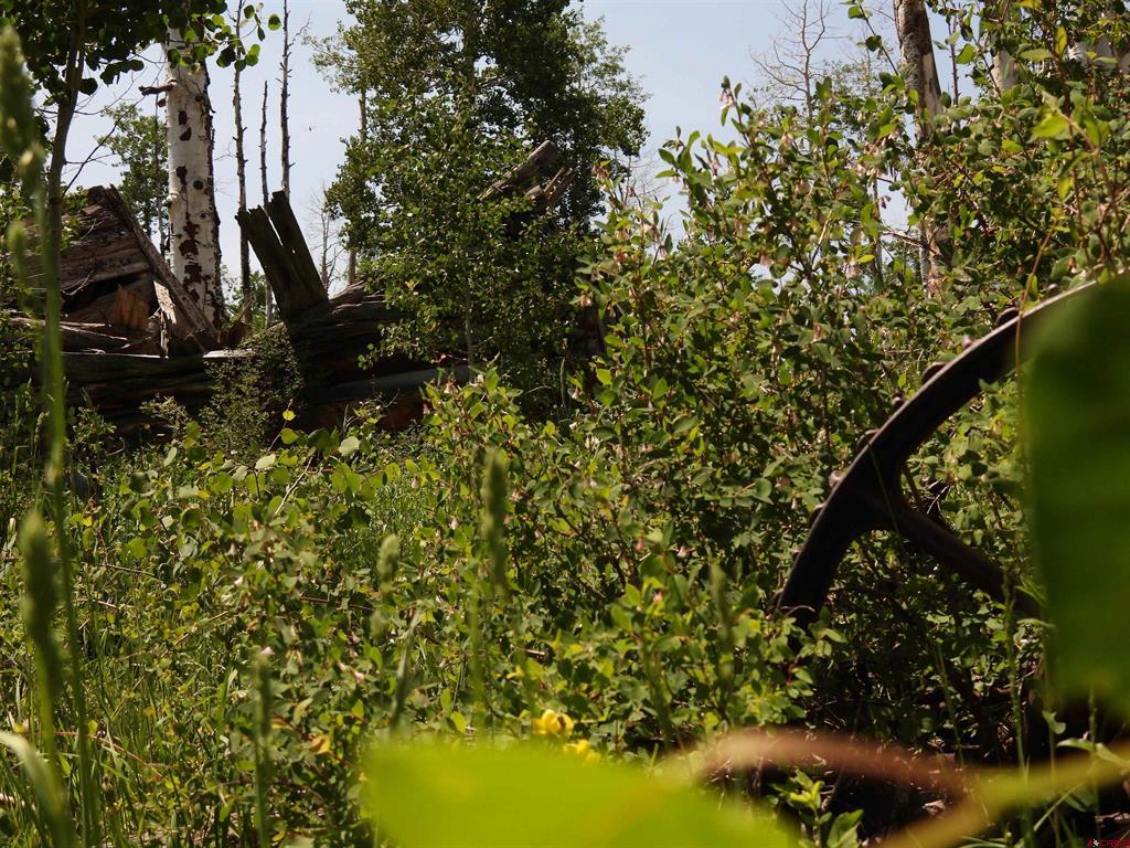 Tbd Transfer Road Montrose CO 81403