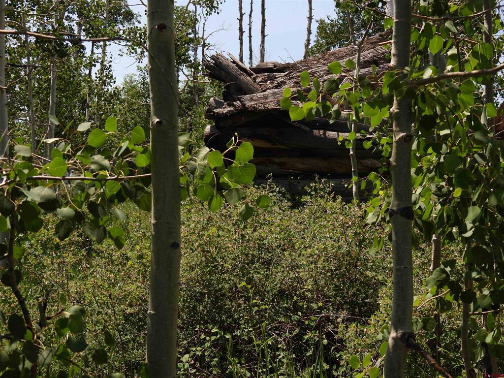 Tbd Transfer Road Montrose CO 81403