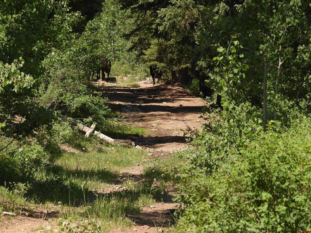 Tbd Transfer Road Montrose CO 81403