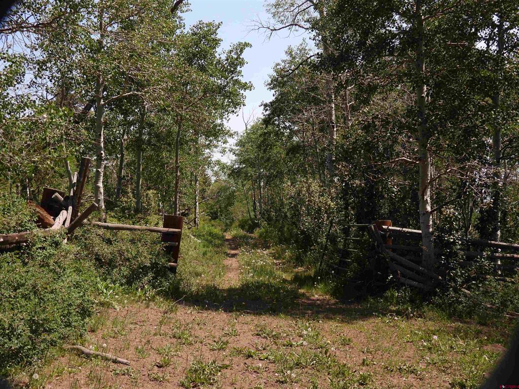 Tbd Transfer Road Montrose CO 81403