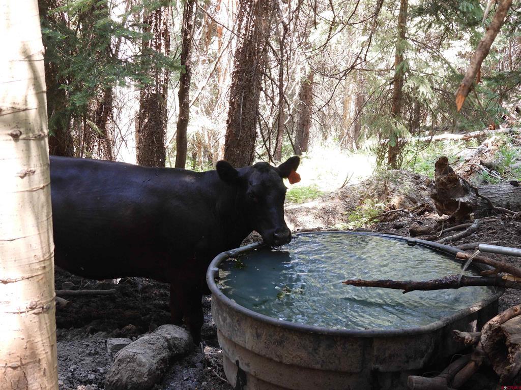 Tbd Transfer Road Montrose CO 81403